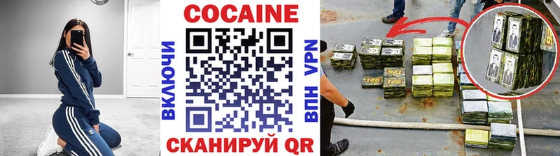 КОКАИН Fish Scale  ОМГ ОМГ маркетплейс  Дальнегорск  хочу  
