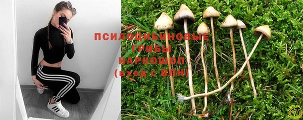 прущая мука Беломорск