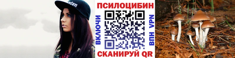Псилоцибиновые грибы Cubensis  Дальнегорск 