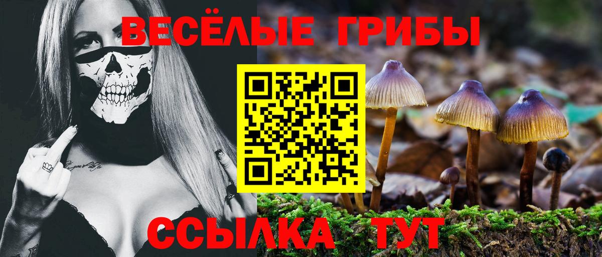 Дальнегорск  Псилоцибиновые грибы Cubensis  Галлюциногенные грибы прущие грибы  Вход с VPN 